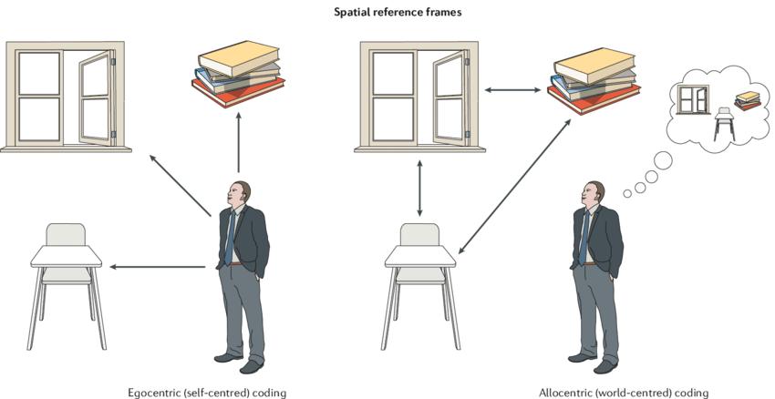 انواع حرکت: حرکات الوسنتریک و ایگوسنتریک: حرکات خودمحور و دگر محور