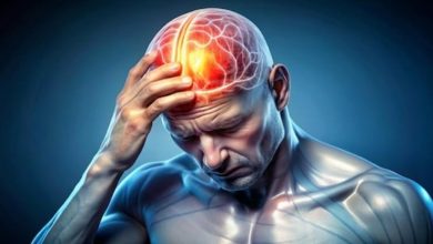 ترجمه کتاب علوم اعصاب شناختی میکائیل گازانیگا؛ فصل هیجان