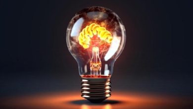 نکاتی در مورد مخچه