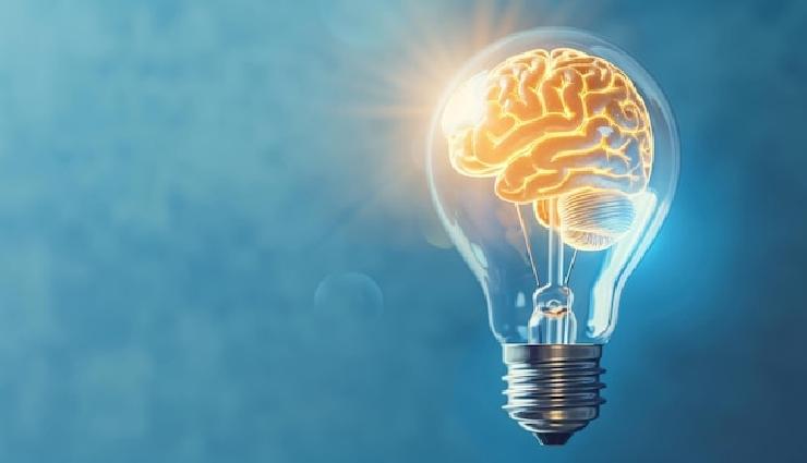 مدارهای آمیگدال و هیپوکامپ؛ بخش اول