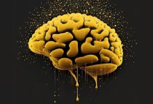 زوال عقل و سندرم‌های فراموشی؛ دمانس کورتیکال و دمانس ساب کورتیکال