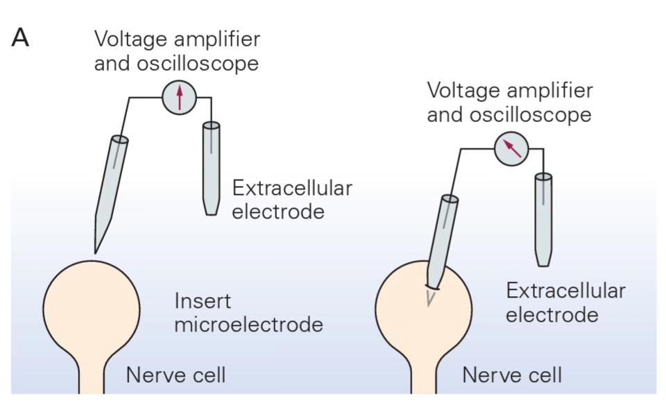 شکل 9-2A تنظیم ثبت