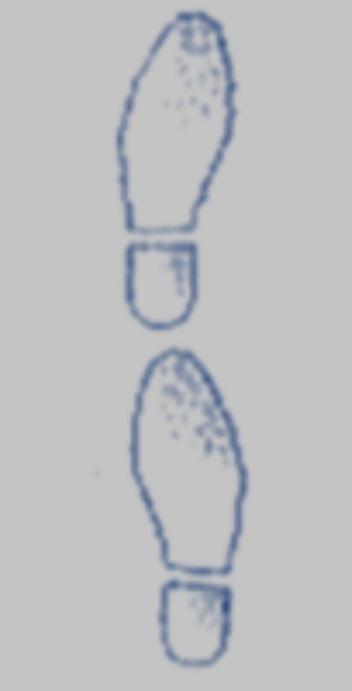 Tandem Gait