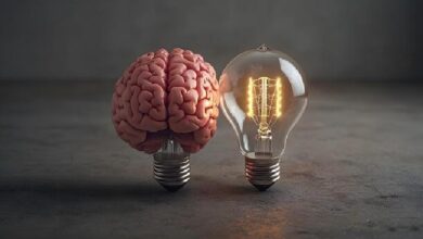 اندوفنوتیپ چیست؛ تفاوت بین اندوفنوتیپ و فنوتیپ؛ عدم تطابق منفی