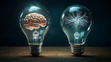 صرع و سایر اختلالات تشنجی؛ صرع پایدار: استاتوس اپی لپتیکوس