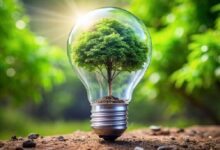 راهنمای جامع حروف یونانی و کاربرد آنها در علوم اعصاب