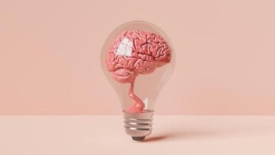 نوروآناتومی بالینی؛ تامین خون مغز