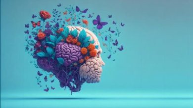 نوروآناتومی بالینی؛ ماده سفید مغز و بطن های جانبی