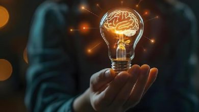 نوروآناتومی بالینی؛ تکوین سیستم عصبی