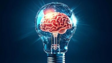 نوروآناتومی بالینی؛ مخ