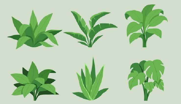 گفتار سوم – گفتار ساختار گیاهان | جای خالی برای یادگیری فعال زیست