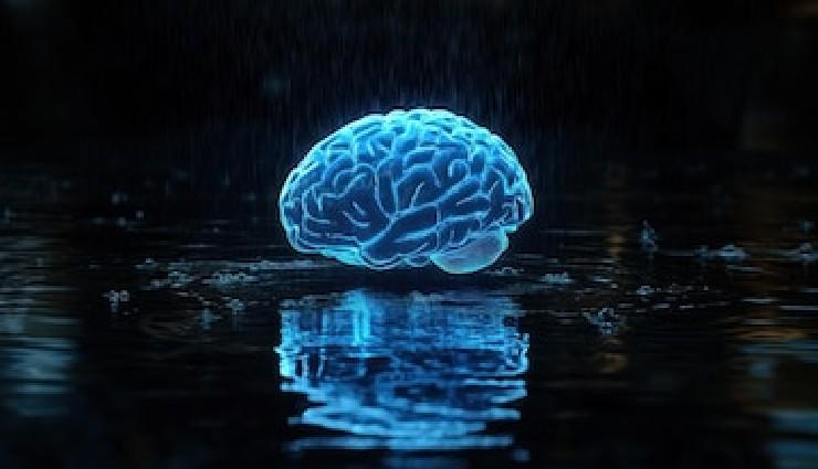 سوالات دکتری علوم اعصاب سال ۱۳۹۵-۱۳۹۴: مباحث نوروآناتومی با پاسخهای تشریحی