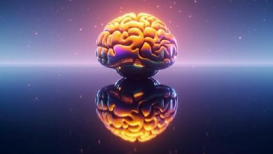 سوالات دکتری علوم اعصاب سال ۱۳۹۷-۱۳۹۶: مباحث نوروآناتومی با پاسخ‌های تشریحی