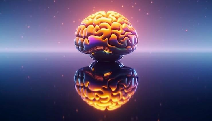 سوالات دکتری علوم اعصاب سال ۱۳۹۷-۱۳۹۶: مباحث نوروآناتومی با پاسخهای تشریحی