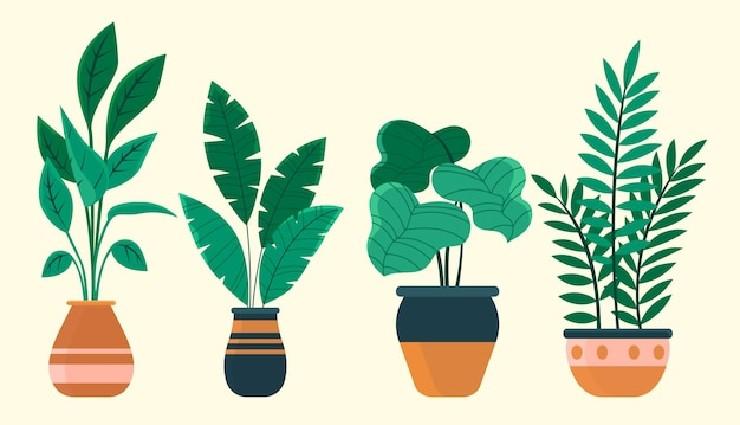 گفتار اول – گفتار تغذیهٔ گیاهی | جای خالی برای یادگیری فعال زیست