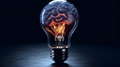 سوالات دکتری علوم اعصاب سال ۱۳۹۶-۱۳۹۵: مباحث نوروفیزیولوژی با پاسخهای تشریحی