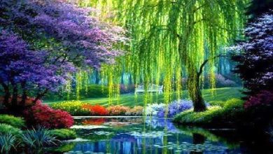 گفتار دوم – واکنشهای فتوسنتزی | جای خالی برای یادگیری فعال زیست دوازدهم