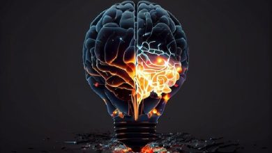 فیزیولوژی پزشکی گایتون و هال؛ حالت های فعالیت مغز - خواب، امواج مغزی، صرع و روان پریشی ها