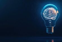 ترجمه آنلاین کتاب نوروبیولوژی به زبان ساده