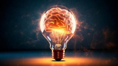 مبانی علوم اعصاب اریک کندل؛ مغز سالمند؛ ساختار و عملکرد مغز با افزایش سن تغییر می کند
