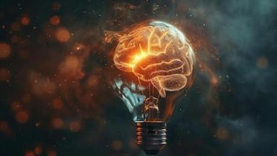 ترجمه آنلاین تمامی مباحث کتاب علوم اعصاب پروس