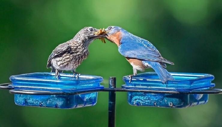 گفتار دوم – اکسایش بیشتر | جای خالی برای یادگیری فعال زیست دوازدهم