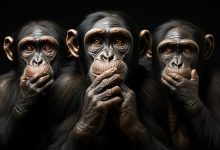 گفتار دوم – فناوری مهندسی پروتئین و بافت | جای خالی برای یادگیری فعال زیست دوازدهم