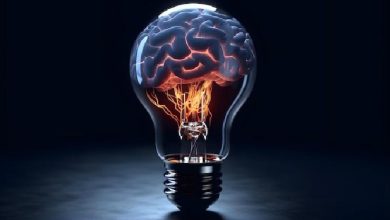 مبانی علوم اعصاب اریک کندل؛ مغز سالخورده؛ تشخیص و عوامل خطر برای آلزایمر
