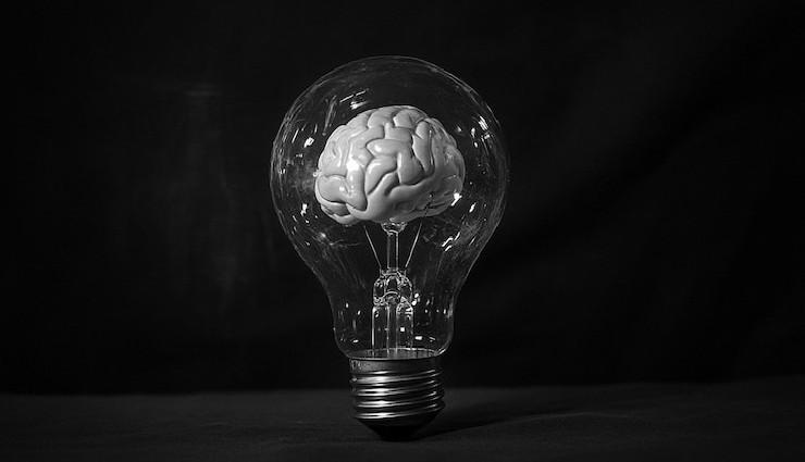 فیزیولوژی پزشکی گایتون؛ سازمان عملی بدن انسان و کنترل محیط داخلی