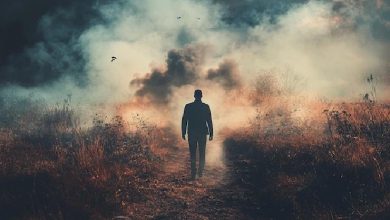 مکانیسمهای زیربنایی پیری مغز و بیماریهای نورودژنراتیو بهعنوان اهداف بالقوه برای راهبردهای پیشگیرانه یا درمانی با استفاده از ترکیبات گیاهی فعال