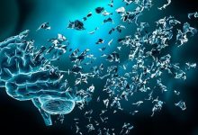 حقایق کلیدی، نشانه‌ها، درمان و پاسخ جهانی به زوال عقل؛ آلزایمر و سایر انواع