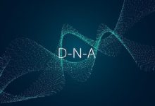 نقش متیلاسیون DNA و هیستون در پاتوفیزیولوژی و پیشرفت بیماری‌های آلزایمر و پارکینسون
