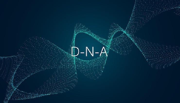نقش متیلاسیون DNA و هیستون در پاتوفیزیولوژی و پیشرفت بیماریهای آلزایمر و پارکینسون