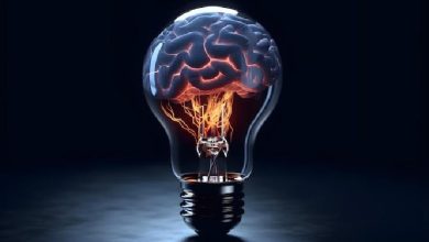 ترجمه آنلاین کتاب علوم اعصاب در قرن بیستویکم: پیوند میان کشفیات بنیادی و کاربردهای بالینی