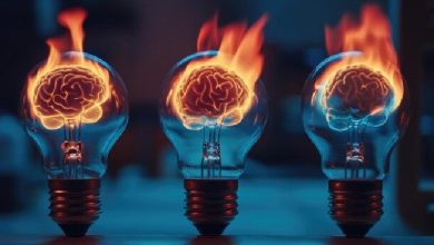 علوم اعصاب پروس؛ سیستم حسی-پیکری: حس لامسه و حس عمقی