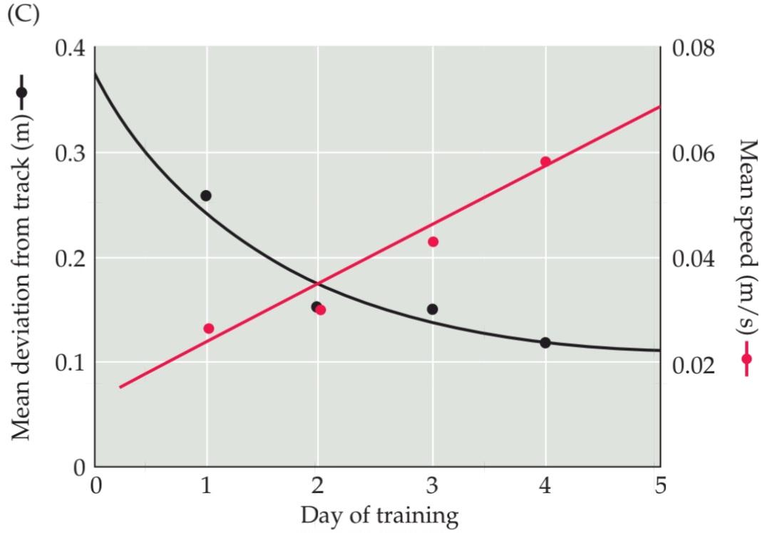 شکل ۱۵.۳ انسان ها می توانند بوها را در غلظت های پایین و در فواصل طولانی ردیابی کنند. قسمت دوم کتاب علوم اعصاب پروس