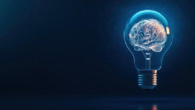 فیزیولوژی پزشکی گایتون و هال؛ آریتمی‌های قلبی و تفسیر الکتروکاردیوگرافی آنها