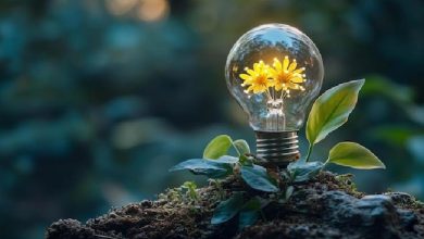 بارم بندی زيست شناسی دوازدهم ۱۴۰۴ | جدول کامل نمرات نوبت اول، نوبت دوم و نهایی خرداد، شهریور و دی