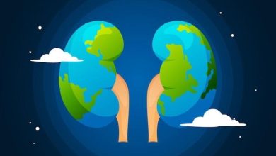 فیزیولوژی پزشکی گایتون و هال؛ بازجذب لوله‌ای کلیوی و ترشح