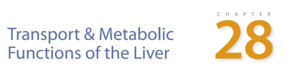 مقدمه فصل ۲۸ کتاب گانونگ