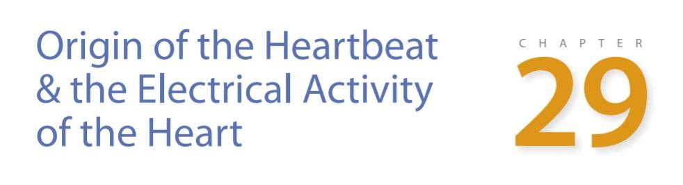 مقدمه فصل ۲۹ کتاب گانونگ