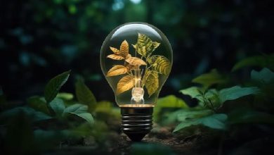 سوالات تشریحی فصل نهم کتاب زیست شناسی یازدهم | مجموعه کامل گفتارها + پاسخ تشریحی