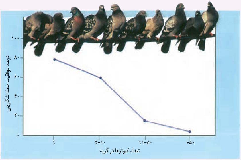 نمودار مزیت زندگی گروهی