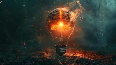 علوم اعصاب پروس؛ نوروتوکسین‌هایی که بر گیرنده‌های انتقال‌دهنده عصبی اثر می‌گذارند