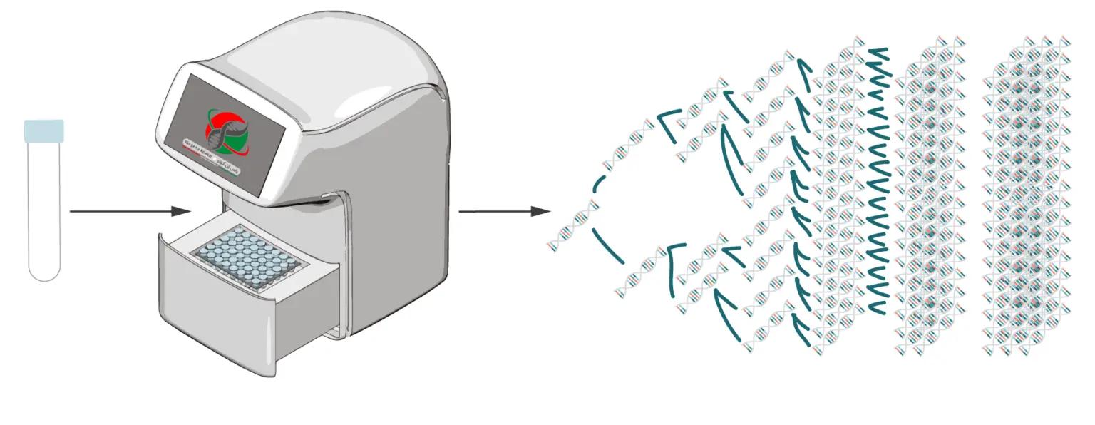 معماری پیچیده‌ی Real-Time PCR (qPCR)