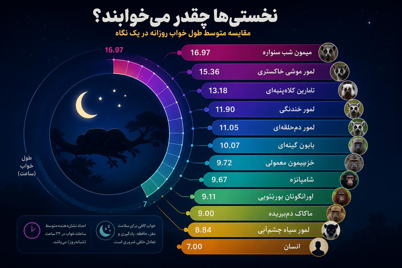 مقایسه میزان خواب انسان با دیگر نخستیها