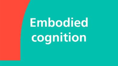 تئوری بدنمند (Embodied Cognition): وقتی بدن، معمار پنهان ذهن میشود