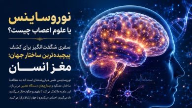 نوروساینس یا علوم اعصاب چیست؟ سفری شگفت‌انگیز برای کشف پیچیده‌ترین ساختار جهان؛ مغز انسان