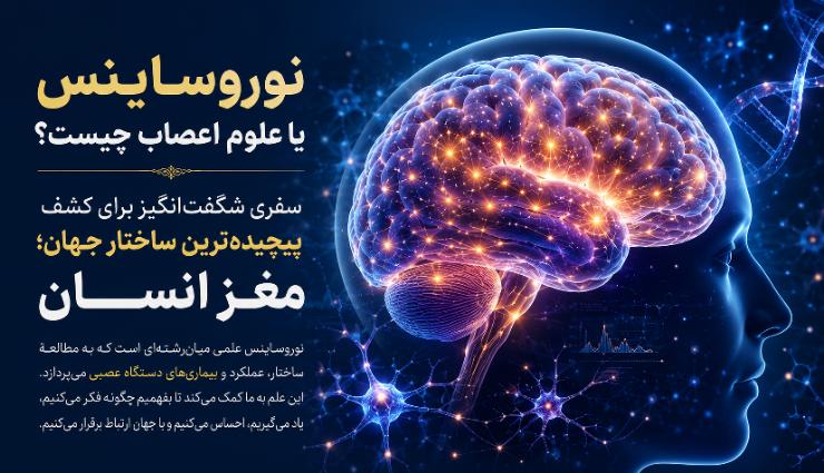 نوروساینس یا علوم اعصاب چیست؟ سفری شگفتانگیز برای کشف پیچیدهترین ساختار جهان؛ مغز انسان
