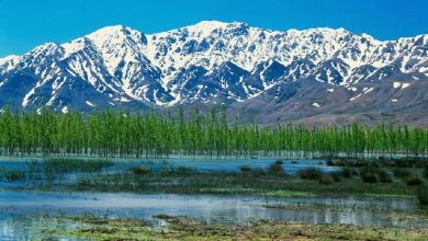گشایش خانه فرهنگ و هنر آداراب افسر بختیاری در دستگرد چغاخور؛ پاسداشت شعر و فرهنگ بختیاری